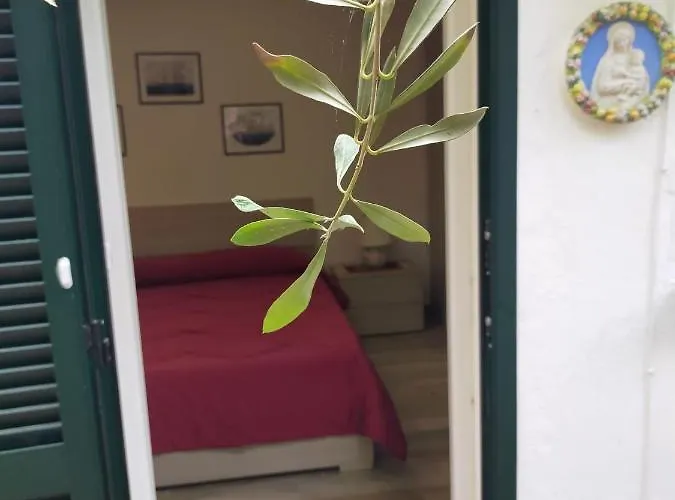 アパート La Dependance In Centro フォッローニカ